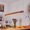 Merlengo Hanglamp LED Zwart, 1-licht