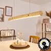 Merlengo Hanglamp LED Zwart, 1-licht