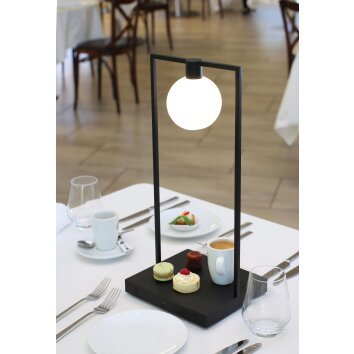 Artemide Curiosity Tafellamp LED Bruin, Zwart, 1-licht