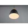 Reality Jagger Hanglamp Zwart, 1-licht