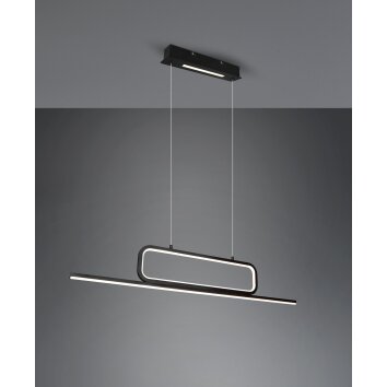 Trio Aick Hanglamp LED Zwart, 1-licht