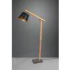 Trio Harris Staande lamp Zwart, 1-licht