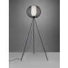 Trio Filo Staande lamp Zwart, 1-licht