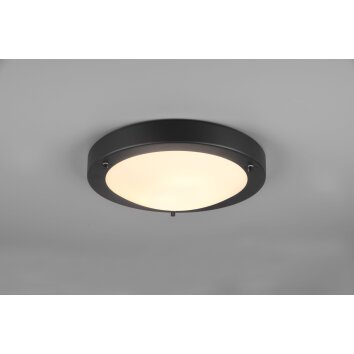 Trio Condus Plafondlamp Zwart, 1-licht