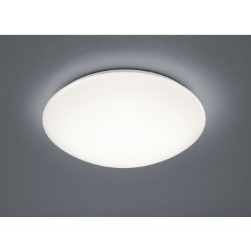 Trio Paolo Plafondlamp LED Wit, 1-licht