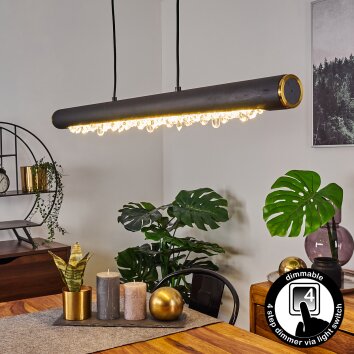 Rodeche Hanglamp LED Zwart, 1-licht