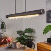 Rodeche Hanglamp LED Zilver, 1-licht