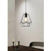 Eglo-Leuchten MARDYKE Hanglamp Zwart, 1-licht