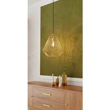 Eglo-Leuchten STYPE Hanglamp Goud, 1-licht