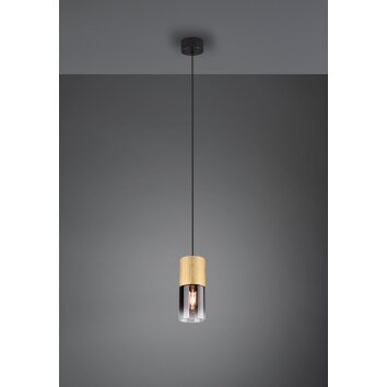 Trio-Leuchten Robin Hanglamp Messing, 1-licht