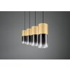 Trio-Leuchten Robin Hanglamp Messing, 4-lichts