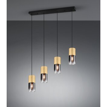 Trio-Leuchten Robin Hanglamp Messing, 4-lichts