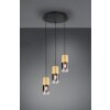 Trio-Leuchten Robin Hanglamp Messing, 1-licht