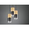 Trio-Leuchten Robin Hanglamp Messing, 1-licht