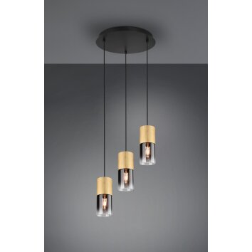 Trio-Leuchten Robin Hanglamp Messing, 1-licht