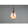 Trio-Leuchten Chiron Hanglamp Messing, 1-licht