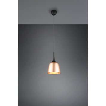 Trio-Leuchten Chiron Hanglamp Messing, 1-licht