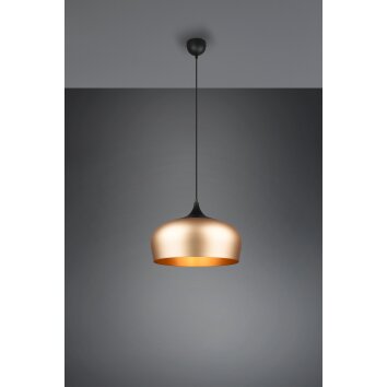 Trio-Leuchten Chiron Hanglamp Messing, 1-licht