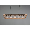 Trio-Leuchten Agra Hanglamp Zwart, 5-lichts