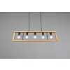 Trio-Leuchten Agra Hanglamp Zwart, 5-lichts