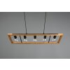 Trio-Leuchten Agra Hanglamp Zwart, 5-lichts