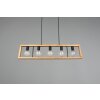 Trio-Leuchten Agra Hanglamp Zwart, 5-lichts