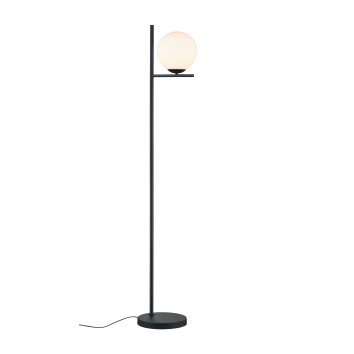 Trio-Leuchten Pure Staande lamp Zwart, 1-licht