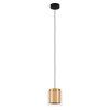 Eglo-Leuchten LAGUNITAS Hanglamp Goud, Messing, Zwart, 1-licht