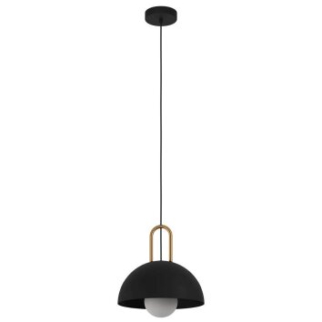 Eglo-Leuchten CALMANERA Hanglamp Messing, Zwart, 1-licht