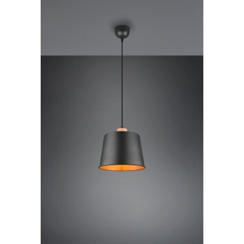 Trio-Leuchten Harris Hanglamp Zwart, 1-licht