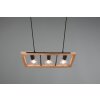 Trio-Leuchten Agra Hanglamp Zwart, 3-lichts