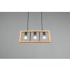 Trio-Leuchten Agra Hanglamp Zwart, 3-lichts