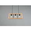 Trio-Leuchten Agra Hanglamp Zwart, 3-lichts