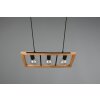 Trio-Leuchten Agra Hanglamp Zwart, 3-lichts