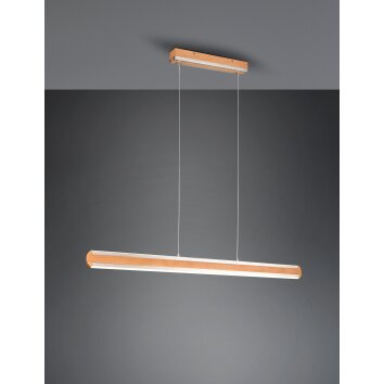 Trio-Leuchten Deacon Hanglamp LED Bruin, 1-licht