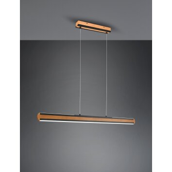 Trio-Leuchten Deacon Hanglamp LED, 1-licht