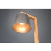 Trio-Leuchten Rodrigo Staande lamp Bruin, 1-licht