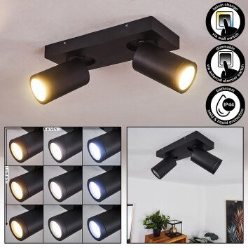 Hakamken Plafondlamp LED Zwart, 2-lichts