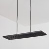 Luturula Hanger LED Zwart, 1-licht