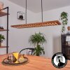 Luturula Hanger LED Zwart, 1-licht