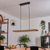 Luturula Hanger LED Zwart, 1-licht