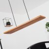 Luturula Hanger LED Zwart, 1-licht