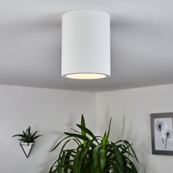 Ililai Plafondlamp Wit, 1-licht