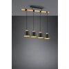 Trio-Leuchten Harris Hanglamp Zwart, 4-lichts