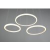 Trio-Leuchten Morrison Hanglamp LED Wit, 1-licht