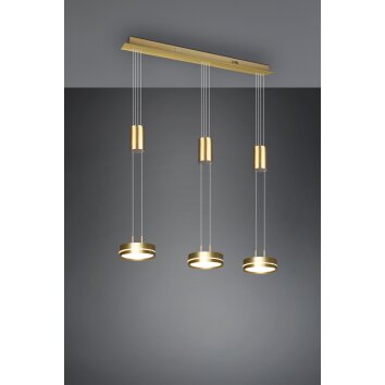 Trio-Leuchten Franklin Hanglamp LED Messing, 3-lichts