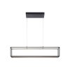 Paul-Neuhaus CONTURA Hanglamp LED Zwart, 4-lichts