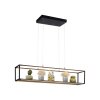 Paul-Neuhaus CONTURA Hanglamp LED Zwart, 4-lichts