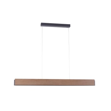 Paul-Neuhaus PALMA Hanglamp LED Grijs, Hout licht, 2-lichts, Afstandsbediening