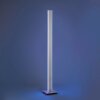 Paul-Neuhaus Q-ADRIANA Staande lamp LED Aluminium, 2-lichts, Afstandsbediening